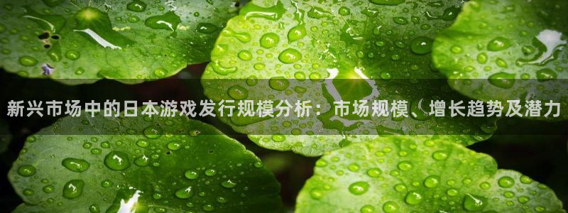 im电竞集团公司怎么样：新兴市场中的日本游戏发行规模分析：市场规模、增长趋势及潜力