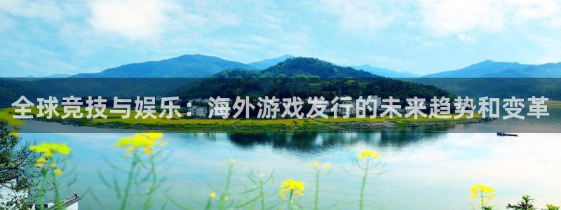 im电竞子文化是干嘛的：全球竞技与娱乐：海外游戏发行的未来趋势和变革