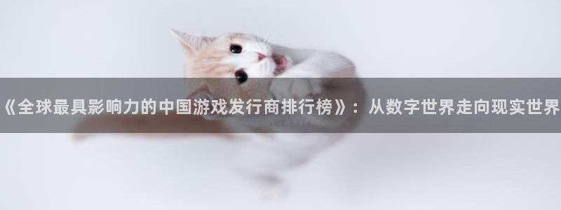 佛山im电竞电子商务：《全球最具影响力的中国游戏发行商排行榜》：从数字世界走向现实世界