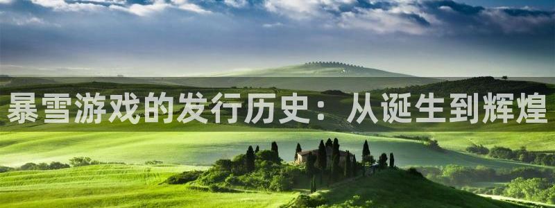 陕西im电竞子文化创意有限公司是做什么的：暴雪游戏的发行历史：从诞生到辉煌
