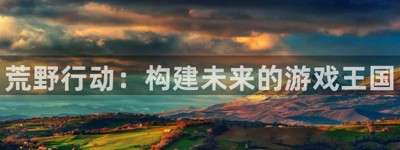 四川im电竞科技有限公司怎么样：荒野行动：构建未来的游戏王国