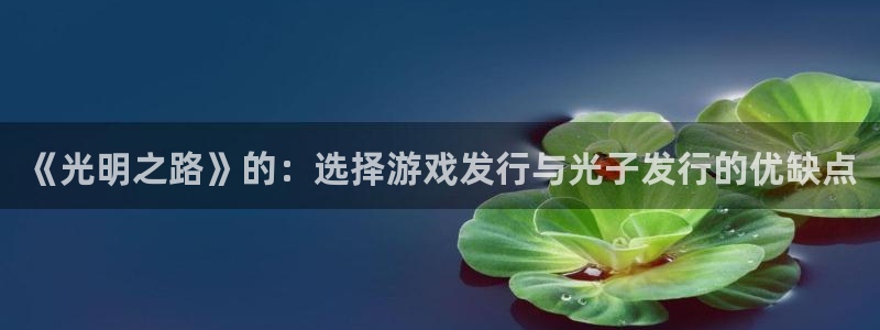 im电竞子书店：《光明之路》的：选择游戏发行与光子发行的优缺点