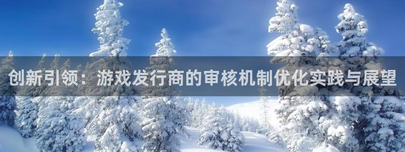 im电竞子文化：创新引领：游戏发行商的审核机制优化实践与展望