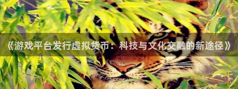 im电竞官网客服服务电话号码：《游戏平台发行虚拟货币：科技与文化交融的新途径》