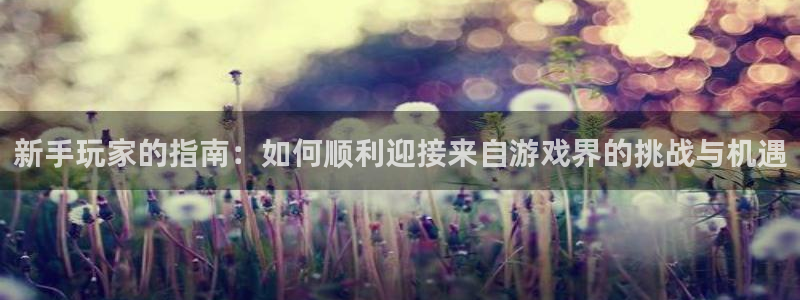 im电竞技术有限公司招聘：新手玩家的指南：如何顺利迎接来自游戏界的挑战与机遇
