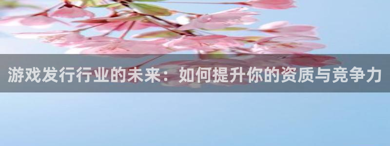 im电竞服装分店有几家：游戏发行行业的未来：如何提升你的资质与竞争力