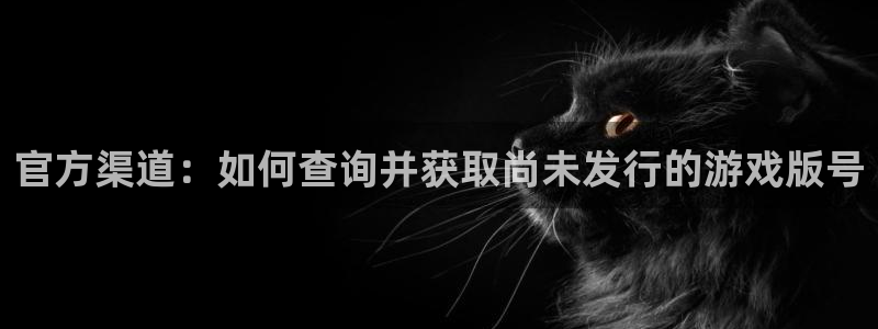 im电竞电商怎么样知乎：官方渠道：如何查询并获取尚未发行的游戏版号