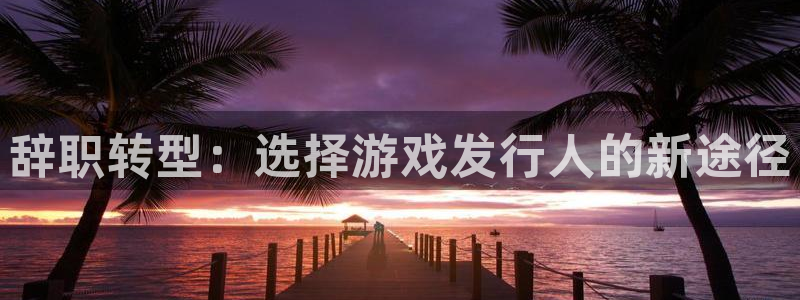 im电竞子代表什么意思：辞职转型：选择游戏发行人的新途径