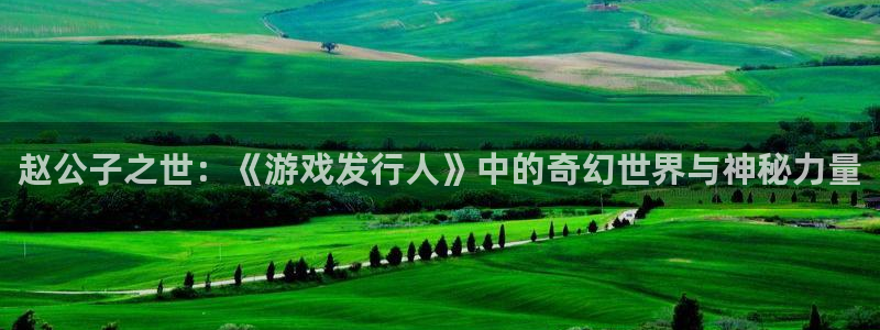 im电竞官网的奇趣腾讯是真的吗知乎：赵公子之世：《游戏发行人》中的奇幻世界与神秘力量