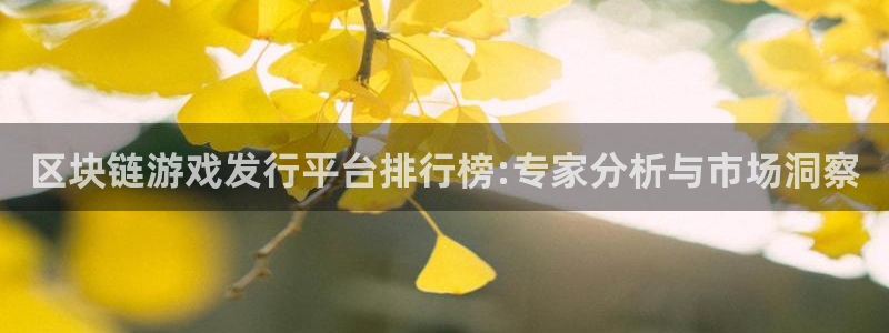 im电竞官网登录注册账号是什么