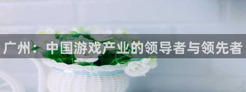 im电竞电子商务有限公司电话